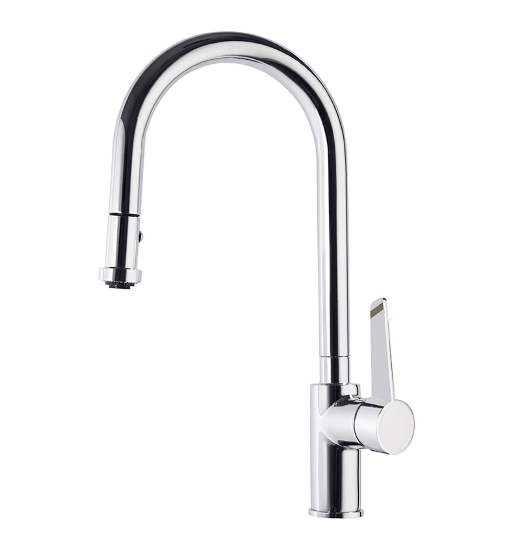 Фото Смеситель для кухни RamonSoler KITCHEN 387901V2MC Хром