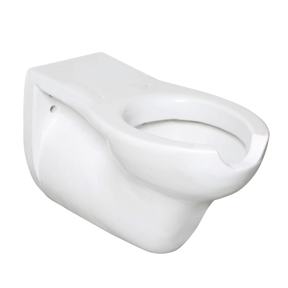 Фото NOFER H50 Унитаз подвесной для инвалидов