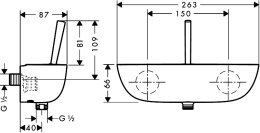 Фото Смеситель для душа Hansgrohe PuraVida (15672400) хром, белый