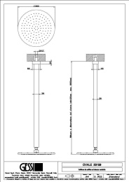Фото Верхний душ Gessi Ovale (23159#031) хром