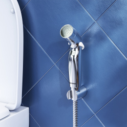 Гигиенический душ с держателем и шлангом Damixa Shower program (760550200) хром