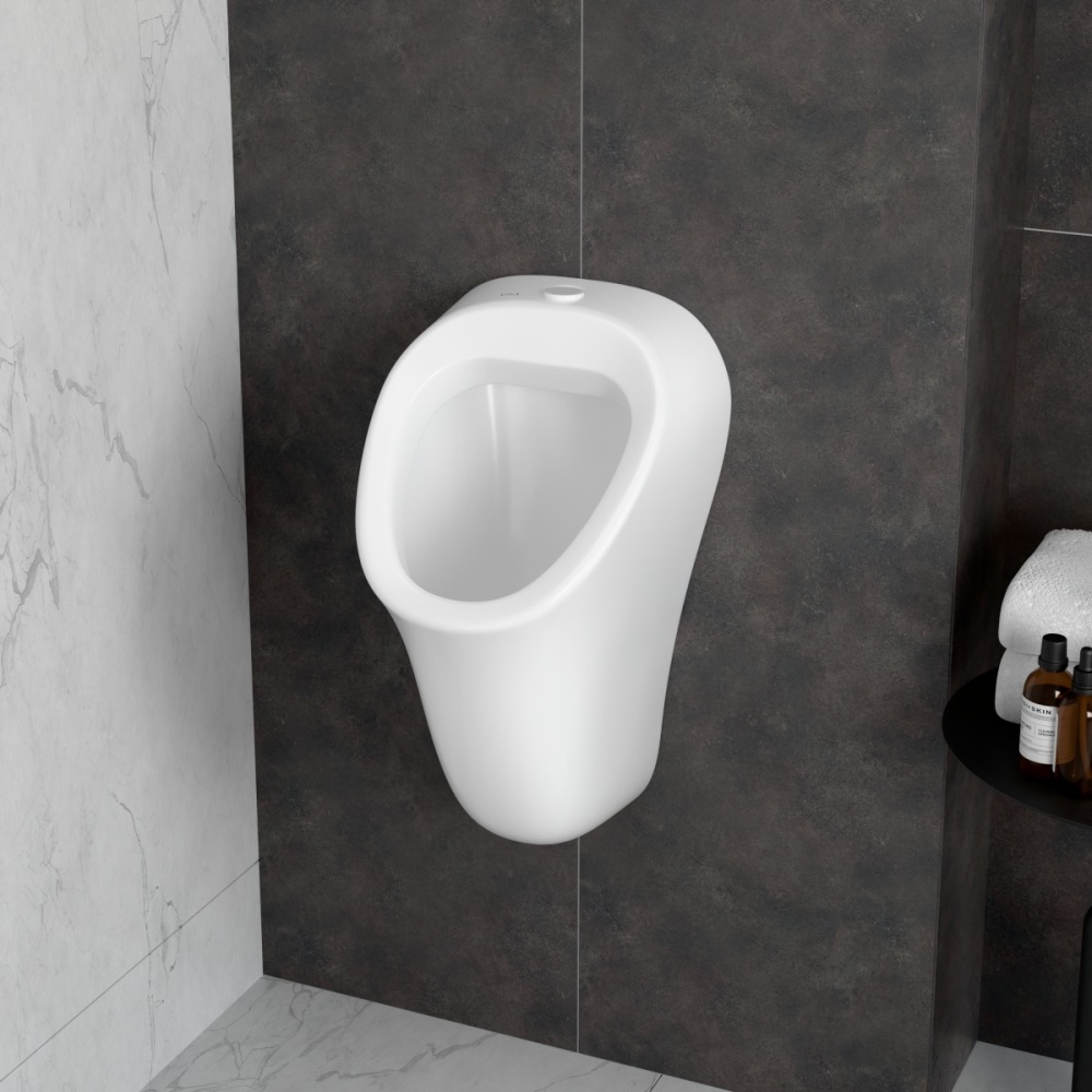 Фото Писсуар VitrA Arkitekt (Аркитект) 6201B003-0199 настенный белый