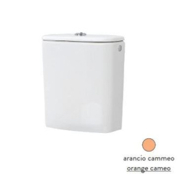 Фото Унитаз моноблок ArtCeram File 2.0 (FLV003 13 00 arancio cammeo)