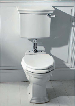 Фото Унитаз Devon&Devon Westminster IBWCWES