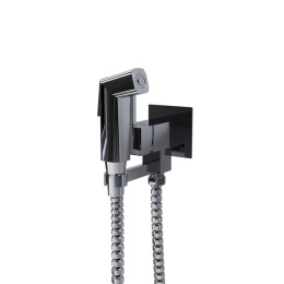 Фото Смеситель с гигиеническим душем Paini Bella BLCR442 хром