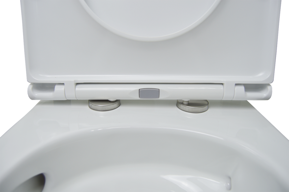 Инсталляция+унитаз Azario (AZ-8010-1000+LY1100R) Белый