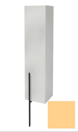 Пенал Jacob Delafon Nouvelle Vague 35 см, EB3047D-G60, цвет желтый глянцевый, правый