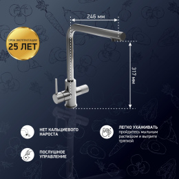 Фото Смеситель для кухни Paini Primavera PRCR6433VEB90 хром