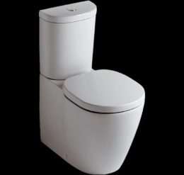 Напольный унитаз Ideal Standard Connect Е803701 с бачком E785601, безободковый