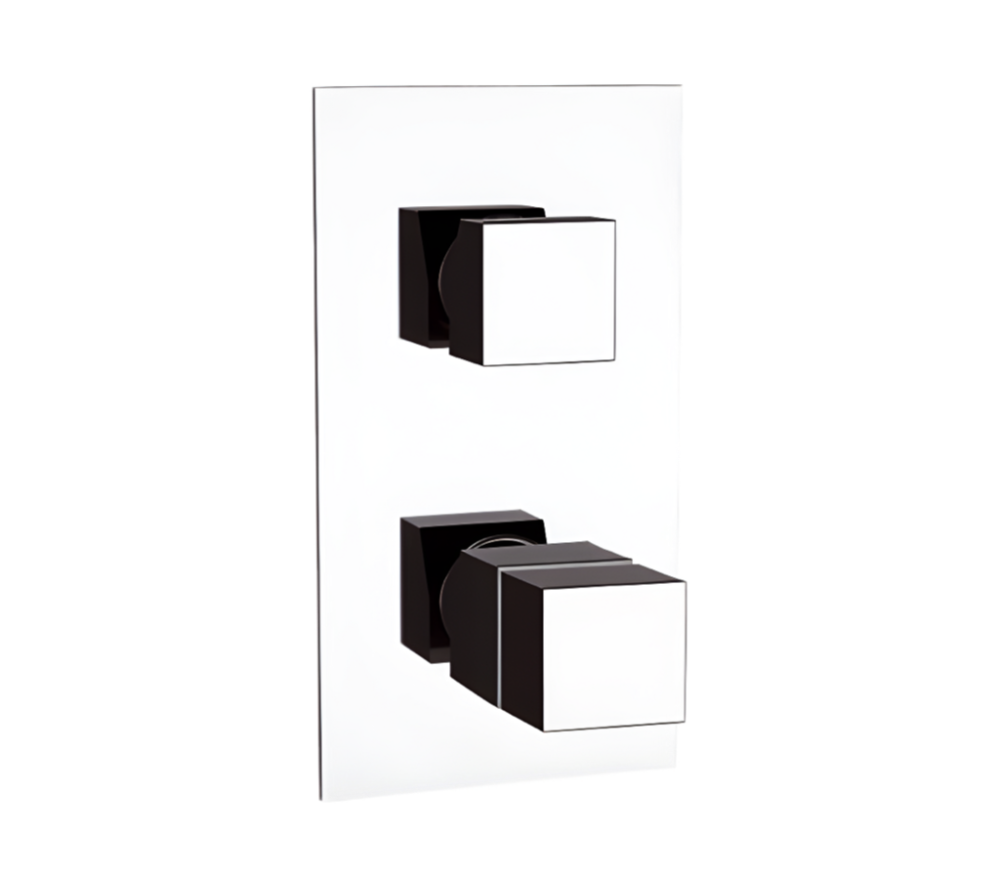 Фото Смеситель термостатический для душа Remer Q-Elegance QT93