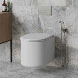 Фото Смеситель с гигиеническим душем Paini Castello CAPW442R никель