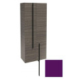Пенал Jacob Delafon Nouvelle Vague 60 см, EB3046RU-M63, цвет сливовый матовый