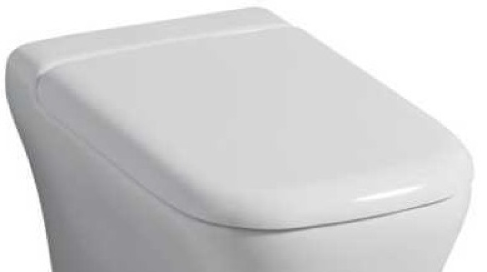 Сиденье с крышкой Geberit My day 575410000 для унитаза