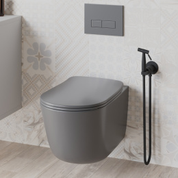 Фото Смеситель с гигиеническим душем Paini Castello CAYO442R черный