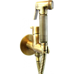Фото Гигиенический душ Webert Elio EL870301065 золотого цвета