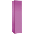 Пенал Jacob Delafon Rythmik/Odeon Up 35 см, EB998-R3, Малиновый