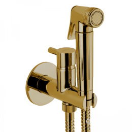 Фото Гигиенический душ Webert Elio EL870301065 золотого цвета