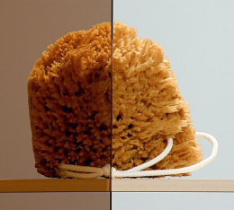 Душевое ограждение  Radaway Treviso DW 80 Профиль хром стекло прозрачное 32313-01-01N