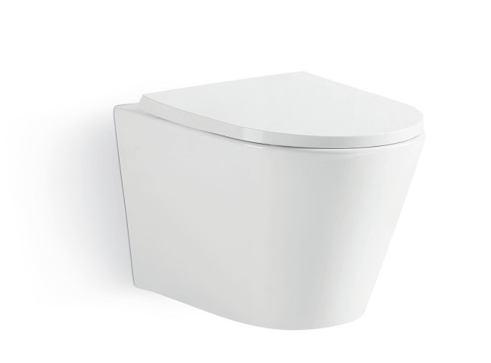 Фото Унитаз подвесной Timo Inari TK-503 белый, сиденье микролифт