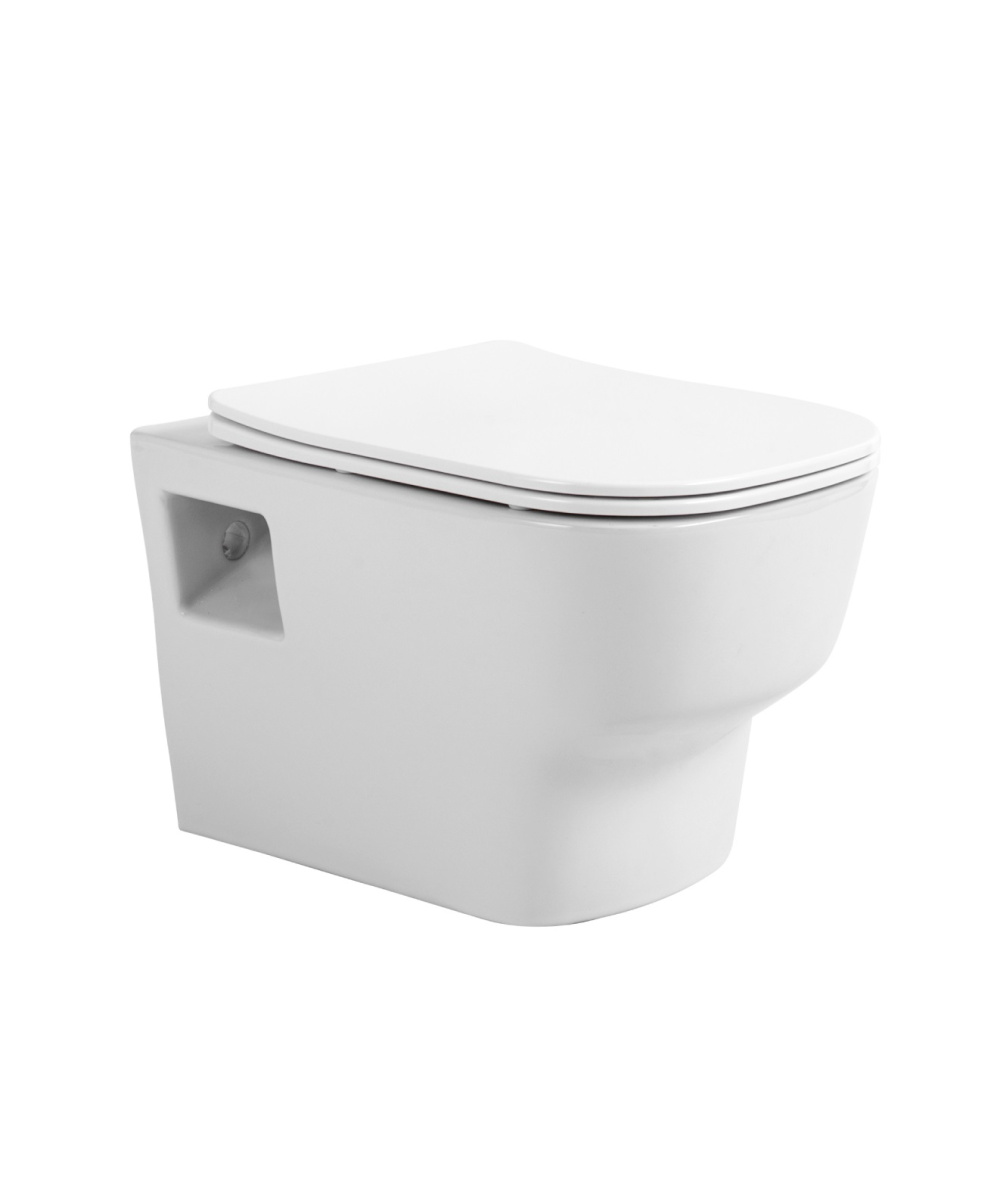 Подвесные унитазы Подвесной безободковый унитаз с сиденьем микролифт Avimano Tradition 1000090, цвет белый глянцевый