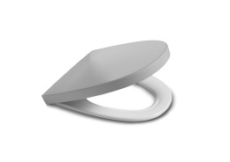 Сиденье с крышкой для унитаза Roca Khroma (801652F1T) серый