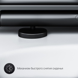 Унитаз подвесной Am.Pm Gem (C901700SCmb) белый, черный
