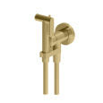 Гигиенический душ Gattoni RT010SG со встроенным смесителем, цвет: Oro Brush