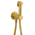 Гигиенический душ Daniel Tokyo TX647P4DCDP со смесителем, золото брашированное