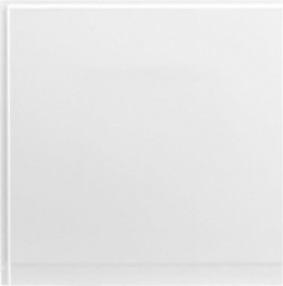 Панель боковая Aquanet Palma 60 R