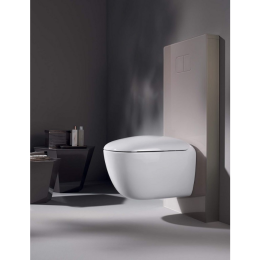 Подвесной унитаз Geberit Citterio F203570000, безободковый Rimfree
