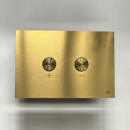 Фото Клавиша смыва OLI BLINK 883246 ПНЕВМО, золото брашированное