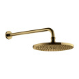 Omnires Y brushed gold WGSET1GLB Верхний душ (брашированное золото)