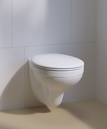 Geberit Delta 458.122.2U.1 Комплект инсталляция и унитаз подвесной стандартные, цвет унитаза: белый
