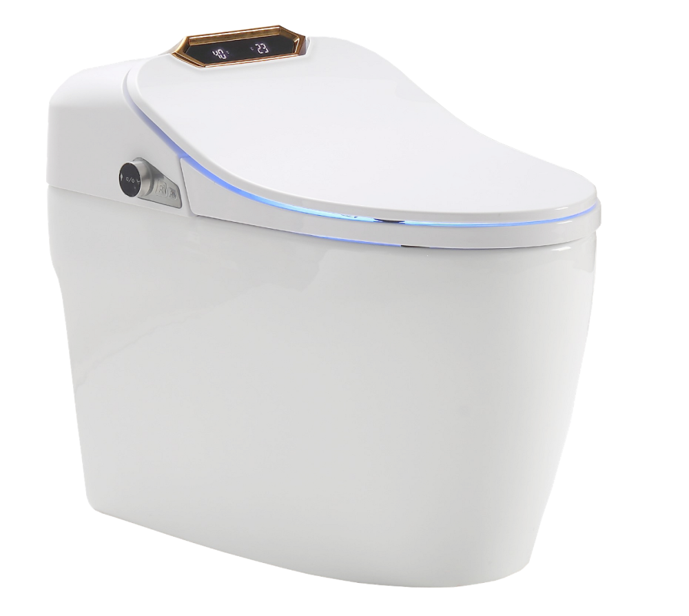 Фото Унитаз-биде Timo TE-731 электронный