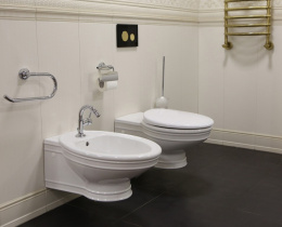 Фото Биде Villeroy&Boch Amadea 7E86 B0R1 подвесное