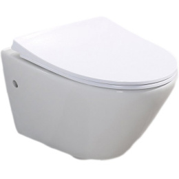 Подвесной унитаз BelBagno Alpha BB300CHR, безободковый