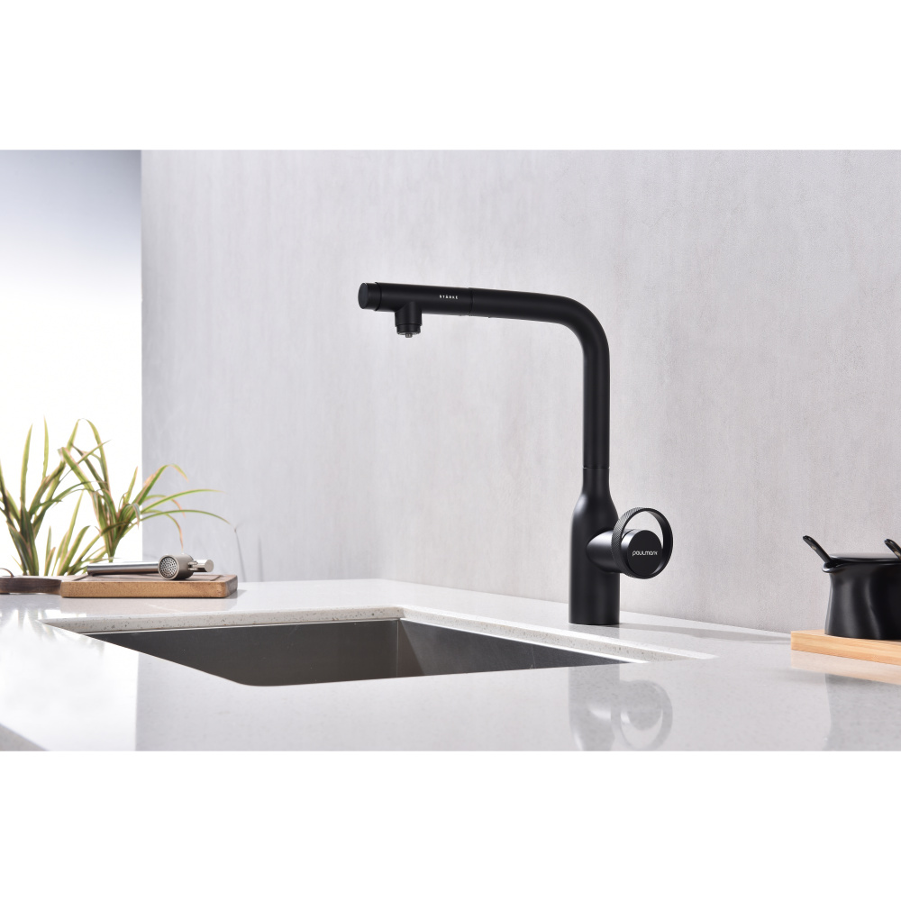 Смеситель для кухни Paulmark Urban (Ur213104-401) антрацит