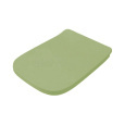 Artceram A16 ASA001 44 71 Сиденье с крышкой для унитаза с микролифтом, цвет Green salvia, петли хром