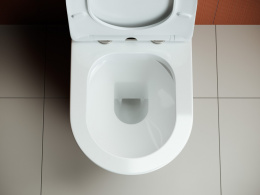 Унитазы компакт Пристенная чаша сиденьем Ceramica Nova Highlight CN1802-B