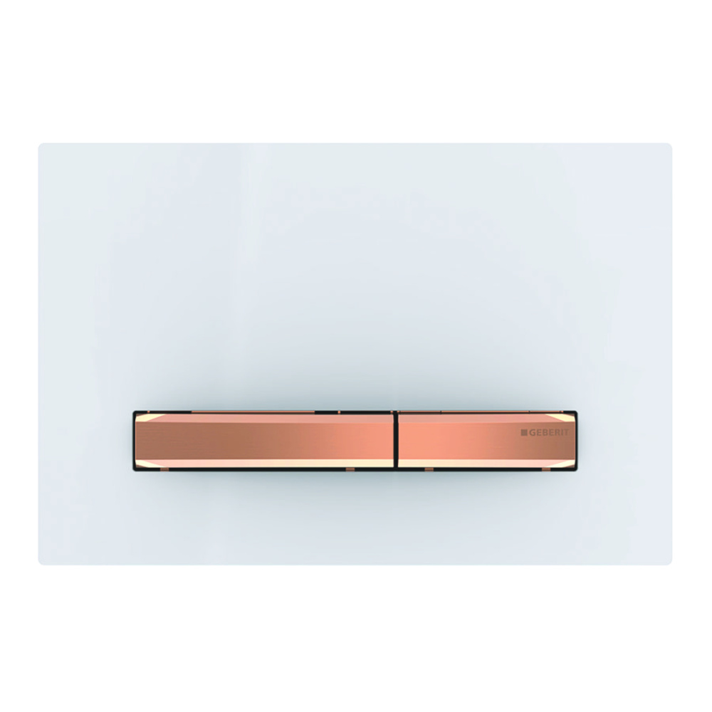 Кнопка смыва Geberit Sigma 50 (115.670.11.2)
