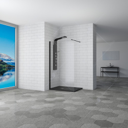 Фото Душевая перегородка RGW Walk In 351001010-14