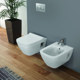 Фото Подвесной унитаз Geberit Smyle Premium 205570000, безободковый, Rimfree