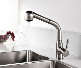 Фото Смеситель для кухни WasserKRAFT Wern 4266 Хром матовый