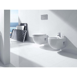 Сиденье для унитаза Roca Meridian (8012AC004) белый
