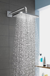 Верхний душ Hansgrohe (26258000)