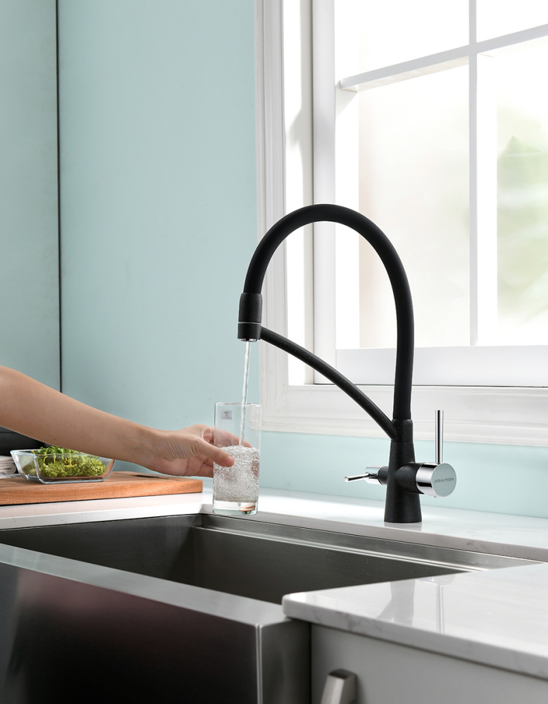 Смеситель для кухни Paulmark Siegen (Si213111-308) чёрный