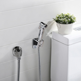 Фото Гигиенический душ Paini Aria 53CR174KIT хром