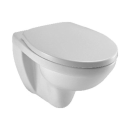 Фото Подвесной унитаз Jacob Delafon Patio EDV102-00, безободковый