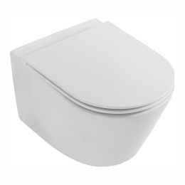 Унитаз Jacob Delafon Rodin+ EDY102-00 подвесной без сиденья