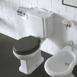 Фото Унитаз под бачок Globo Paestum (PA003.BI) белый